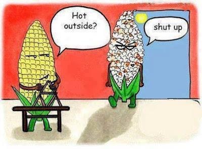 Not Everyone is Happy in Summer!
