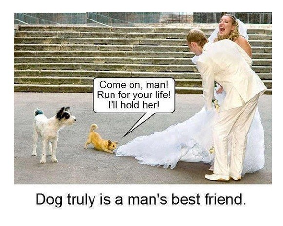 Truly Man's Best Friend!