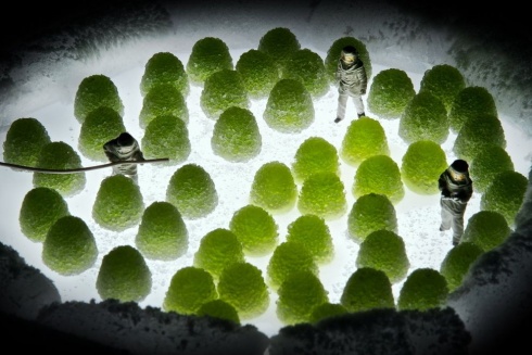 Little People in the Edible Universe by William Kass! 20 Pics!