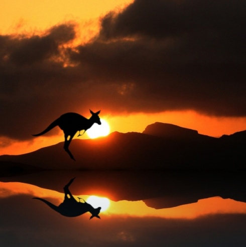 15 Amazing Reflection Photography Examples!