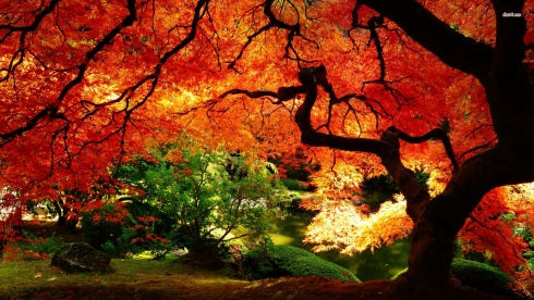 The 10 Most Beautiful And Colorful Autumn Landscapes!