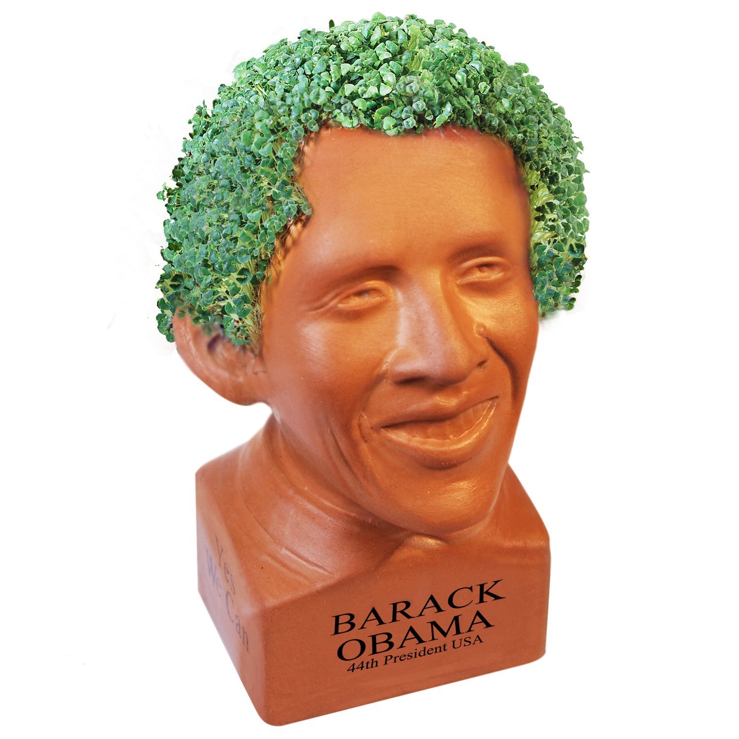 Chia Pet 10 Fanciful But BestSelling Products In America!