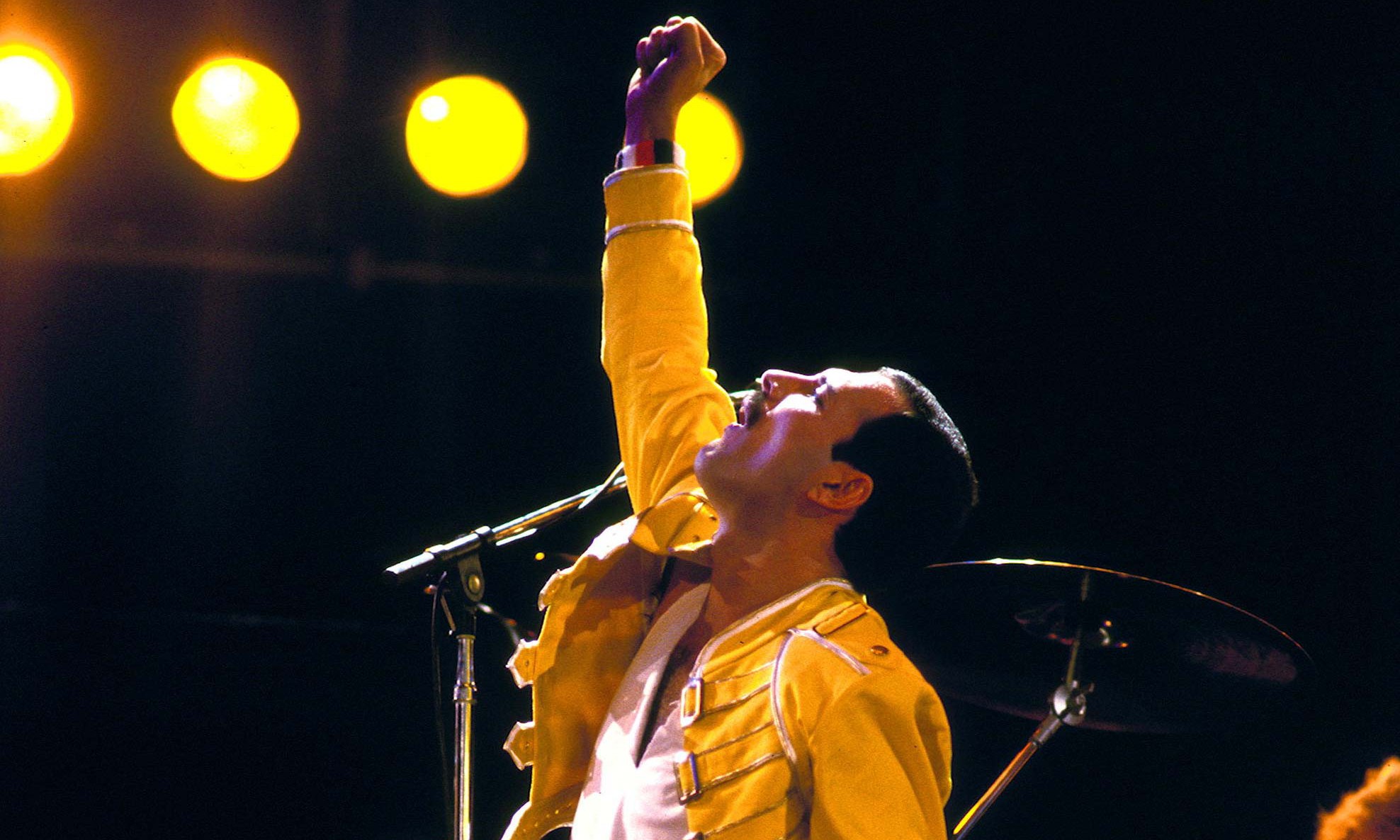 In Loving Memory 16 Freddie Mercury Revelations! Enjoy