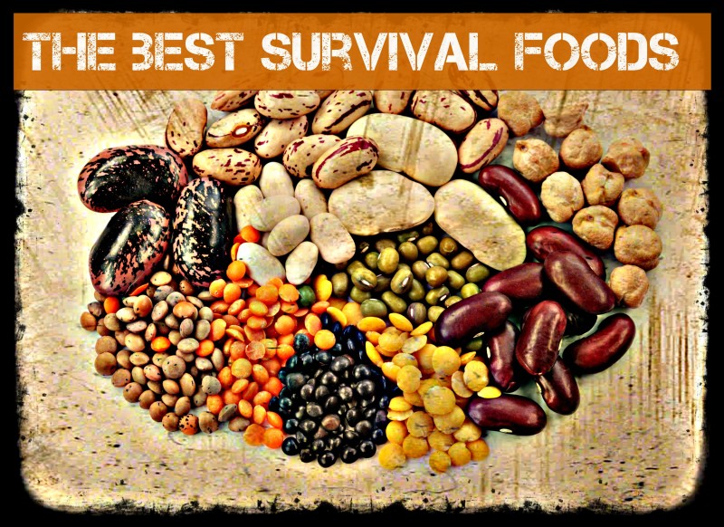 15 Survival Misconceptions That Could Hurt You!