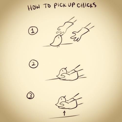 3 Surefire Ways How to Pick Up Chicks!