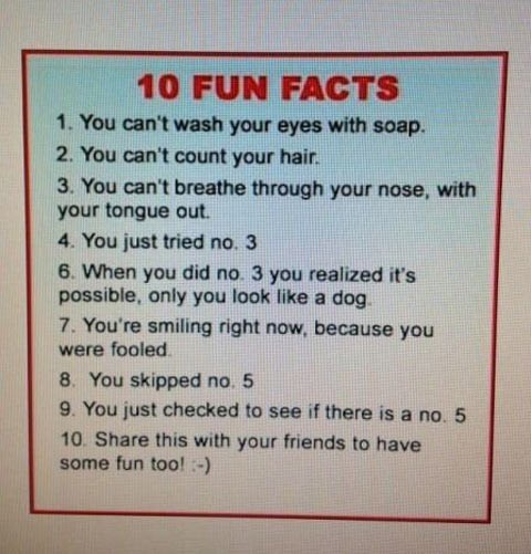 Your 10 Funny Facts!