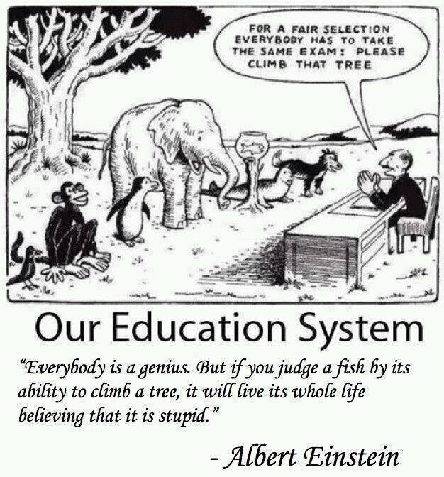 Our Education System