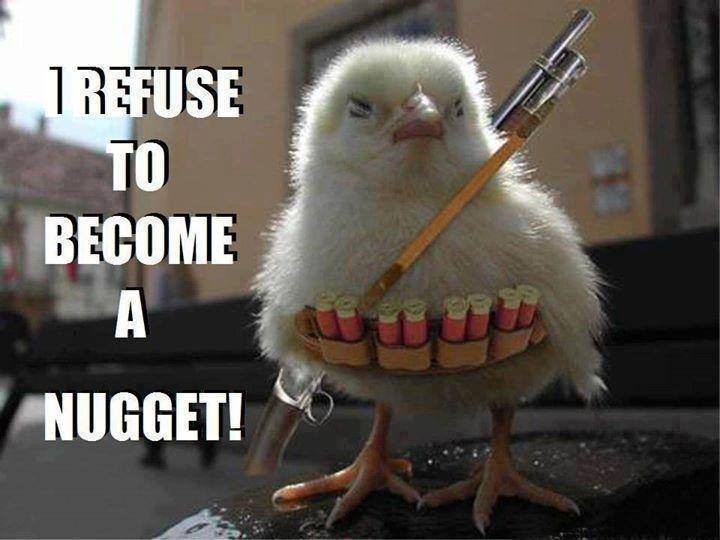 I Refuse to Become a Nugget!