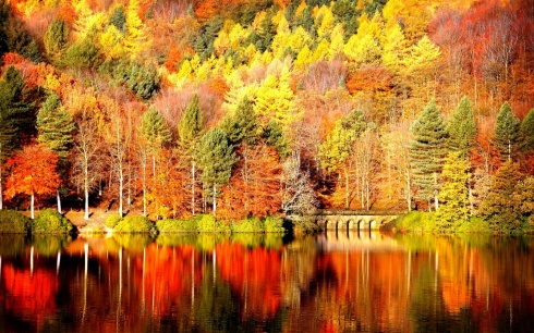 The 10 Most Beautiful And Colorful Autumn Landscapes!