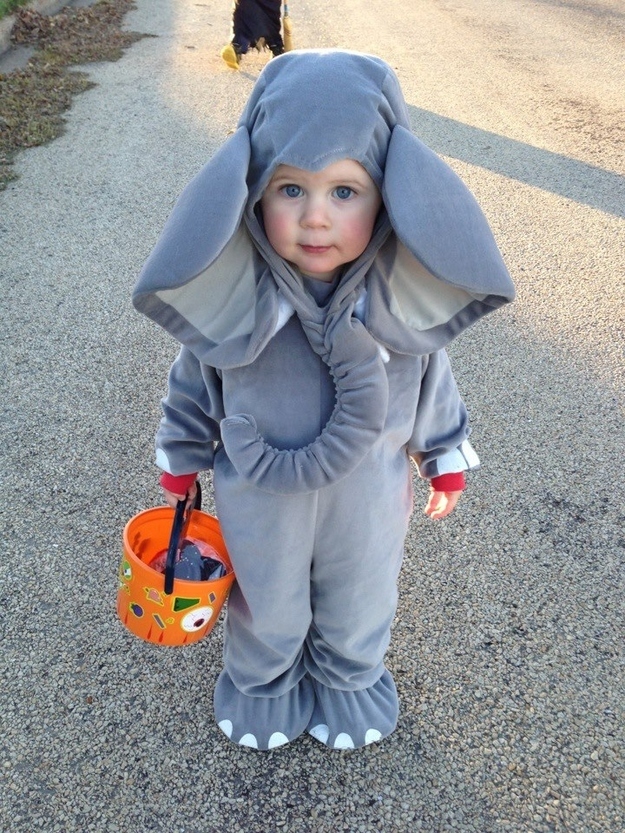 The 15 Cutest Halloween Costumes! | The Smallest Elephant!