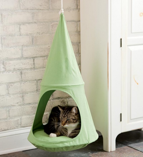 10 Awesome Design Ideas For Cats!