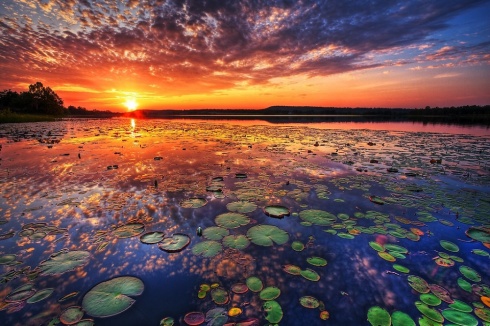 The 10 Most Amazing And Beautiful Sunsets Ever!