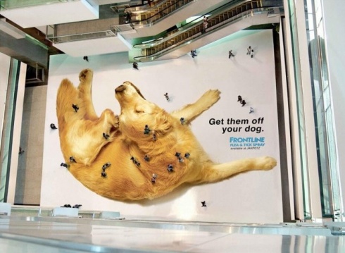The 16 Most Creative Advertisements Ever!