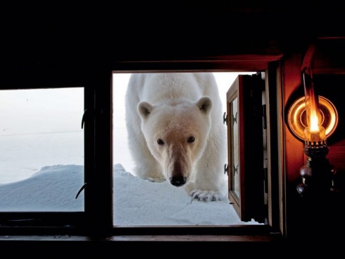 The 15 Most Exciting National Geographic Photos!