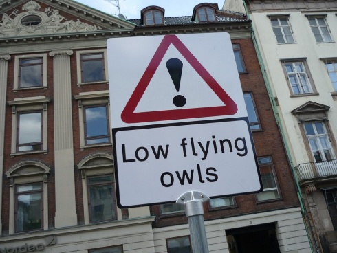 The 10 Most Humorous Road Signs!