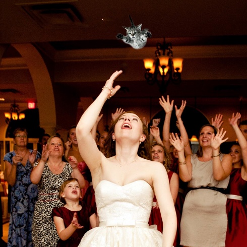 Autumn Wedding Funny Trend: Flying Cats Instead of Wedding Bouquets! 10 Pics!