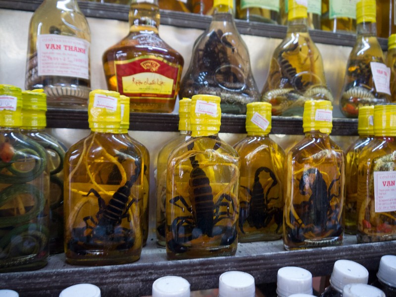 15 Most Bizarre Drinks from Unusual Wild Ingredients!
