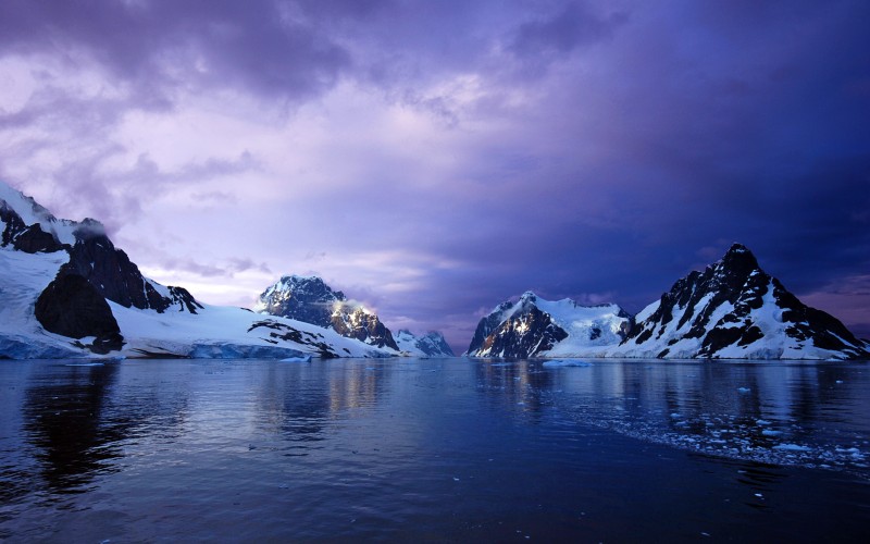 20 Facts That Will Revolutionize Your Vision of Antarctica!
